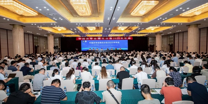 棉花分会图片1.jpg