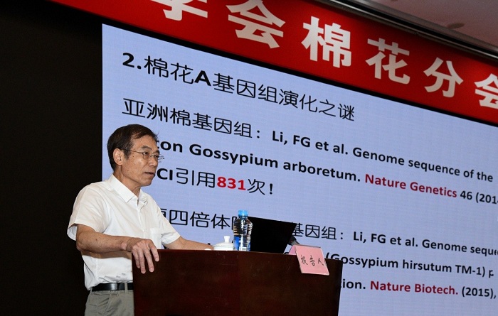 棉花分会图片2.jpg