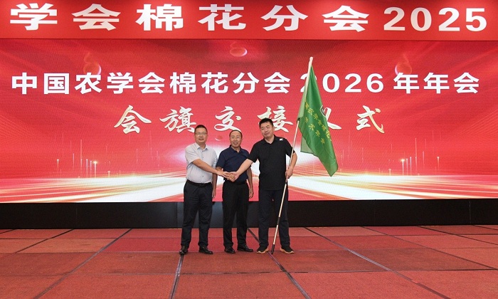 棉花分会图片4.jpg