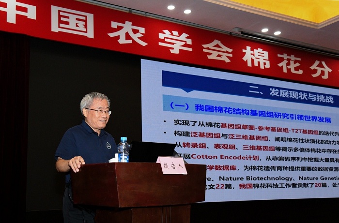 棉花分会图片3.jpg