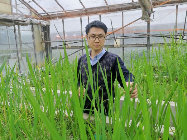 温室照片