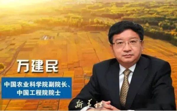 万建民